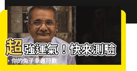 兔子代表數字|各種夢所代表的樂透數字（動物篇）